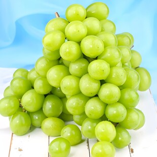 葡萄