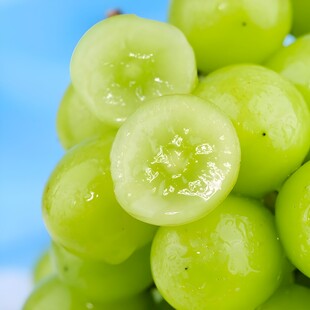 葡萄