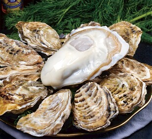 生蚝
