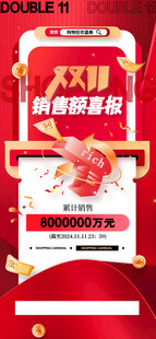 双11销售喜报