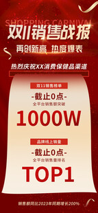双11销售战报