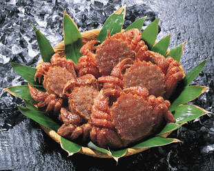 海鲜 螃蟹 美食