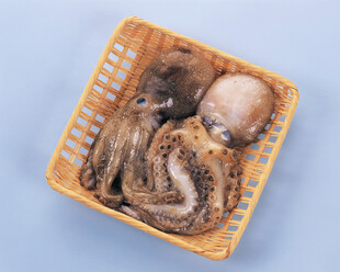 章鱼 食物原料