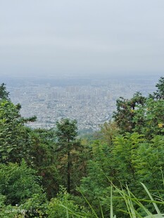 山顶风景