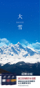 大雪海报
