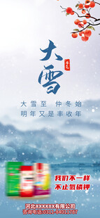 大雪海报