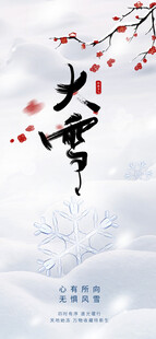 大雪海报