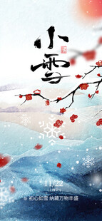 小雪海报