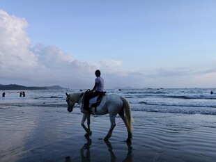 大海 沙滩 海浪 骑马