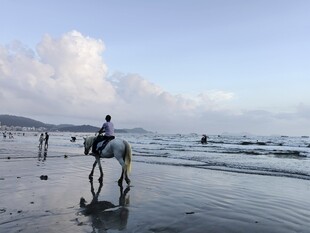 大海 沙滩 海浪 骑马