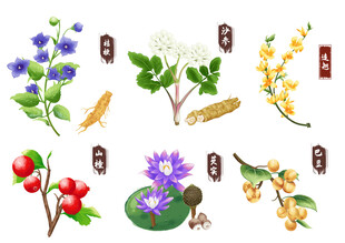  中药手绘
