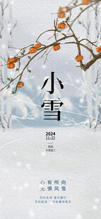 小雪海报