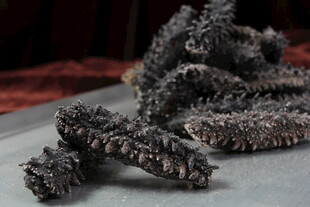 淡干海参刺身特写摆拍