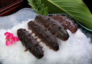 泡发海参鲜海参