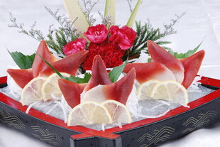 北极贝刺身拼盘白玉螺