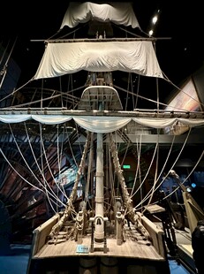 天津国家海洋馆展品欣赏