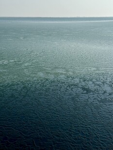 天津海洋馆室外风景