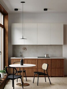 骨骼线胡桃木复古中式风格柜子门