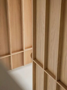 骨骼线胡桃木复古中式风格柜子门