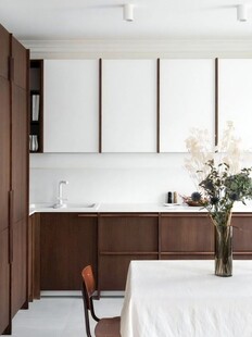 骨骼线胡桃木复古中式风格柜子门