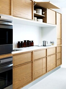 骨骼线胡桃木复古中式风格柜子门