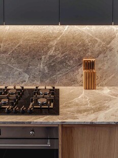 骨骼线胡桃木复古中式风格柜子门