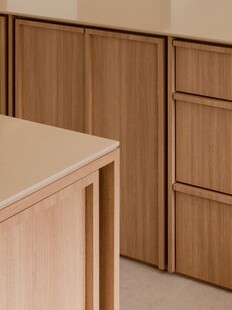 骨骼线胡桃木复古中式风格柜子门