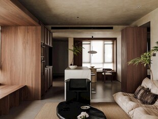 骨骼线胡桃木复古中式风格柜子门