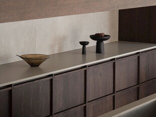 骨骼线胡桃木复古中式风格柜子门