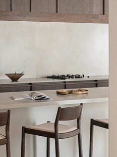 骨骼线胡桃木复古中式风格柜子门