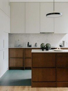 骨骼线胡桃木复古中式风格柜子门