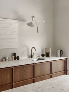 骨骼线胡桃木复古中式风格柜子门