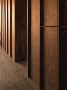 骨骼线胡桃木复古中式风格柜子门