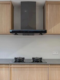 骨骼线胡桃木复古中式风格柜子门