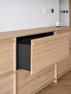 骨骼线胡桃木复古中式风格柜子门