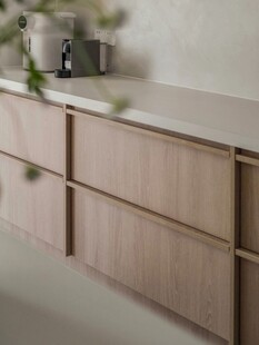 骨骼线胡桃木复古中式风格柜子门