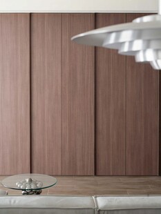 骨骼线胡桃木复古中式风格柜子门