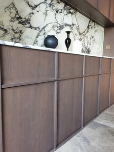 骨骼线胡桃木复古中式风格柜子门