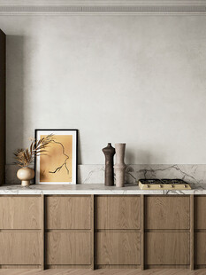 骨骼线胡桃木复古中式风格柜子门