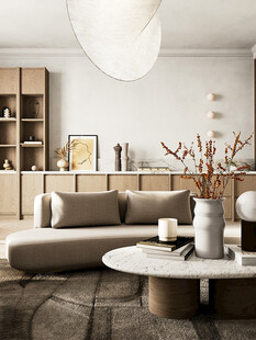 骨骼线胡桃木复古中式风格柜子门