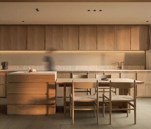 骨骼线胡桃木复古中式风格柜子门