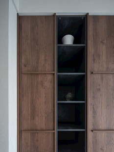 骨骼线胡桃木复古中式风格柜子门