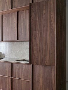 骨骼线胡桃木复古中式风格柜子门