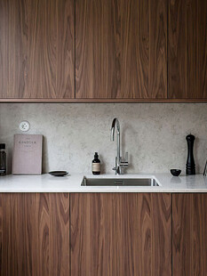 骨骼线胡桃木复古中式风格柜子门