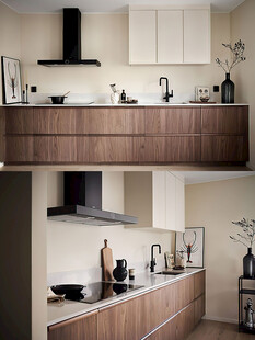 骨骼线胡桃木复古中式风格柜子门