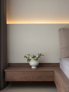 骨骼线胡桃木复古中式风格柜子门