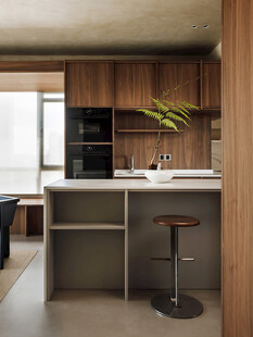 骨骼线胡桃木复古中式风格柜子门