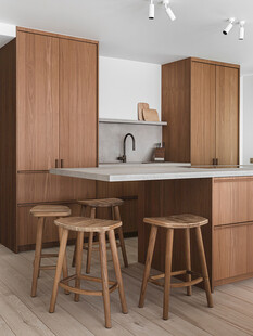 骨骼线胡桃木复古中式风格柜子门