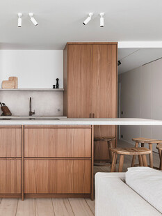 骨骼线胡桃木复古中式风格柜子门