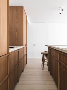 骨骼线胡桃木复古中式风格柜子门